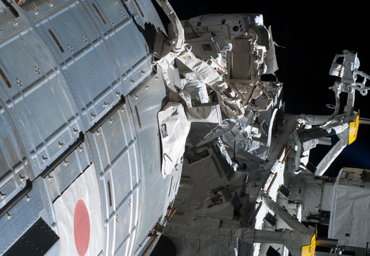 STS127-E-09241