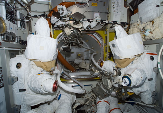 STS113-E-05260