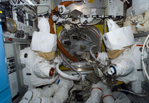 STS113-E-05267