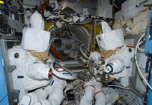 STS113-E-05268