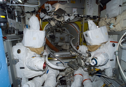STS113-E-05269