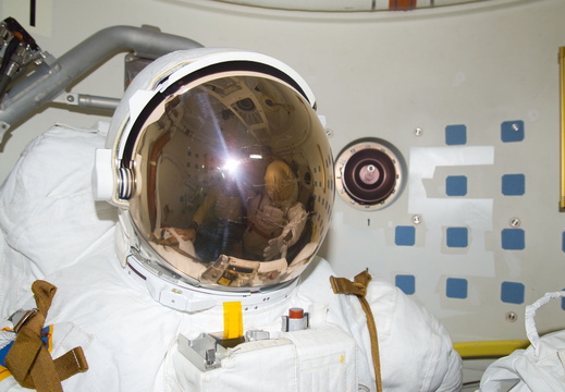 STS113-E-05530