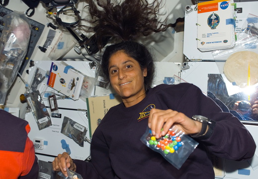 STS116-E-05288