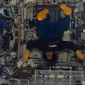 STS116-E-05816.jpg