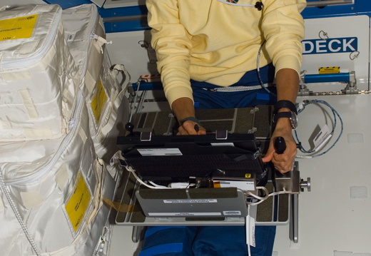 STS116-E-05865