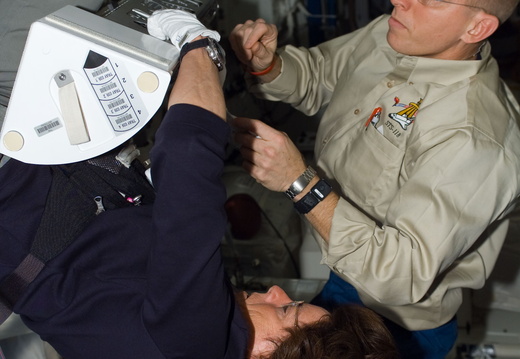 STS118-E-06159