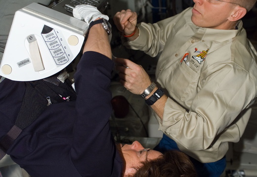 STS118-E-06529