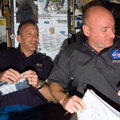STS118-E-06916.jpg