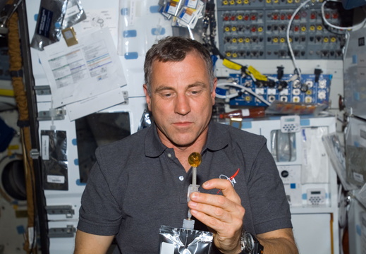 STS118-E-07189