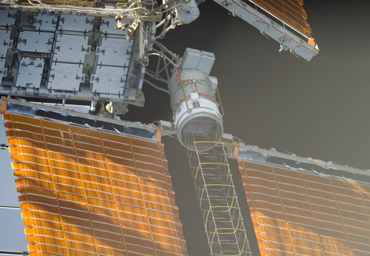STS118-E-07445