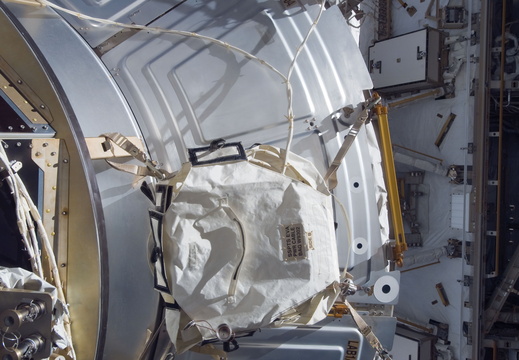 STS118-E-07517