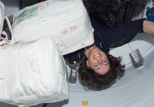 STS118-E-07663