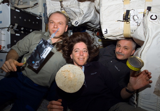 STS118-E-07849