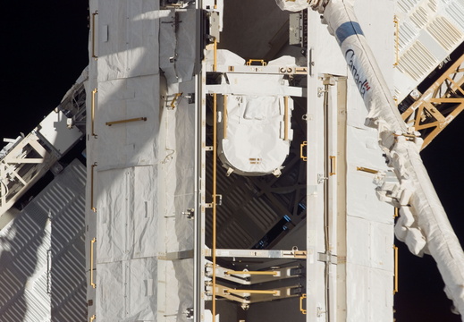 STS118-E-09519