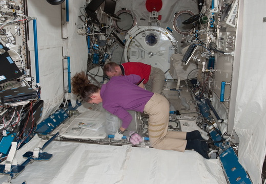 STS119-E-08141