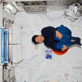 STS123-E-07354.jpg