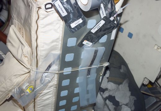 STS123-E-08288