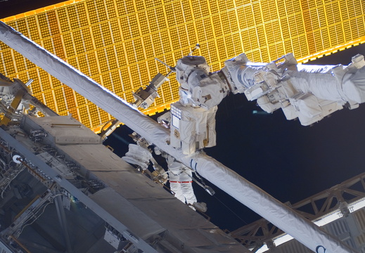 STS123-E-08421