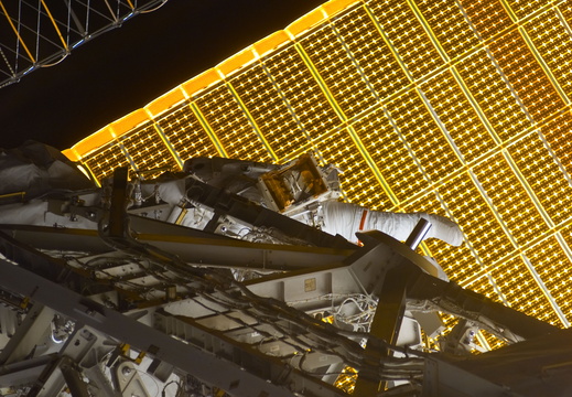 STS123-E-08442