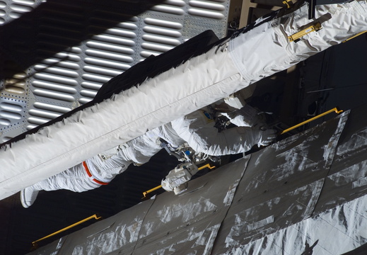 STS123-E-08495