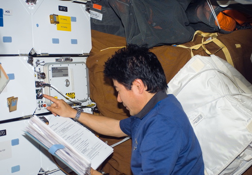 STS123-E-08817