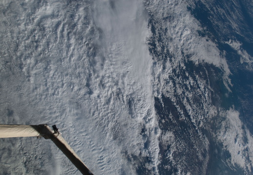 STS126-E-25972