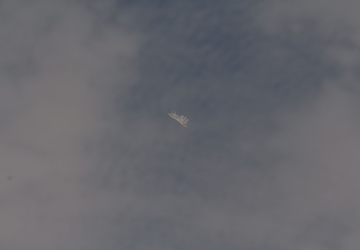 STS126-E-07845