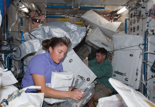 STS126-E-09216