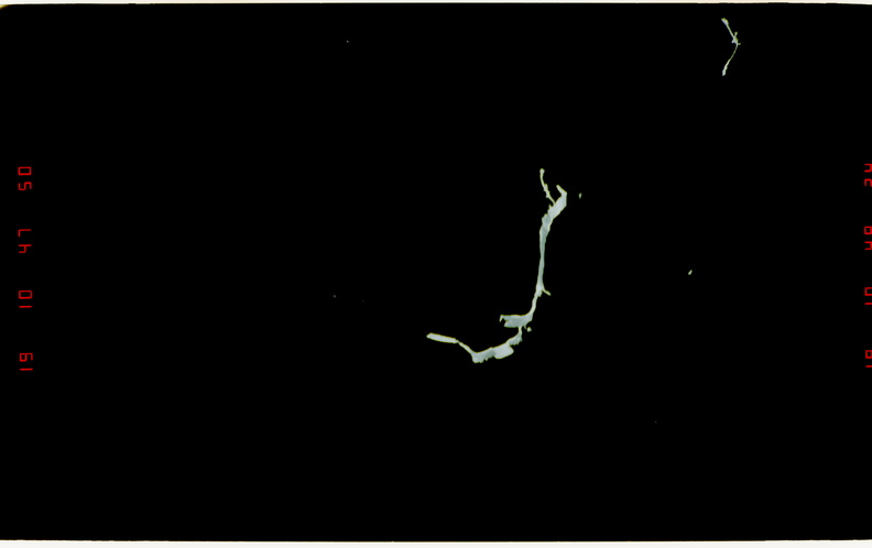 STS077-389-004.jpg