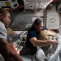 nasa2explore_50875730171_NASA_astronauts_Victor_Glover_and_Michael_Hopkins.jpg