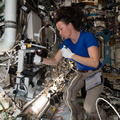nasa2explore_51298130286_NASA_astronaut_Megan_McArthur_sets_up_a_microscope.jpg