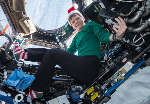 Astronaut Peggy Whitson in the Festive Spirit