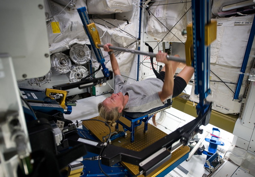 NASA Astronaut Karen Nyberg - 8979888202 403f9b5d8b o
