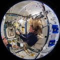 Fisheye View of Astronauts in Tranquility Node - 9357501865_3d37c199e1_o.jpg