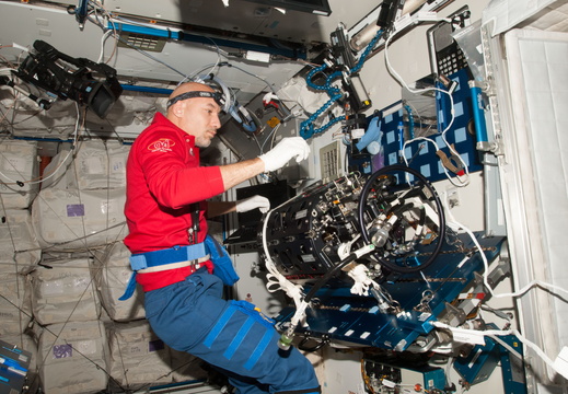 European Space Agency astronaut Luca Parmitano - 9394484970 bcb0292483 o