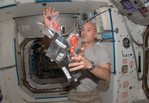 European Space Agency astronaut Luca Parmitano - 9312947021 65235913d8 o