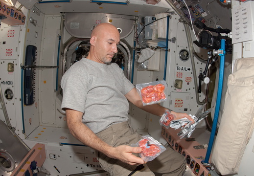 European Space Agency astronaut Luca Parmitano - 9312944291 f5843a60a9 o