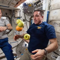 Astronauts Chris Cassidy and Luca Parmitano - 9417431890_d5e3eba15f_o.jpg