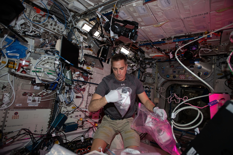 astronaut-chris-cassidy-services-botany-research-hardware_49825291223_o.jpg