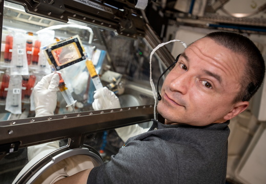 nasa-astronaut-andrew-morgan-conducts-research-operations-inside-the-life-science-glovebox 49589976157 o