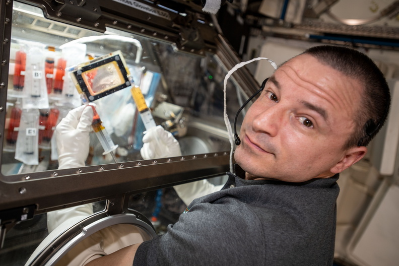 nasa-astronaut-andrew-morgan-conducts-research-operations-inside-the-life-science-glovebox_49589976157_o.jpg