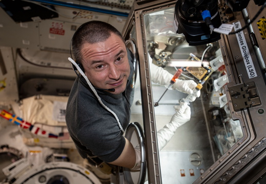 nasa-astronaut-andrew-morgan-conducts-research-operations-inside-the-life-sciences-glovebox 49593492911 o