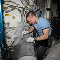 nasa-astronaut-andrew-morgan-retrieves-gut-microbe-samples_49701278981_o.jpg