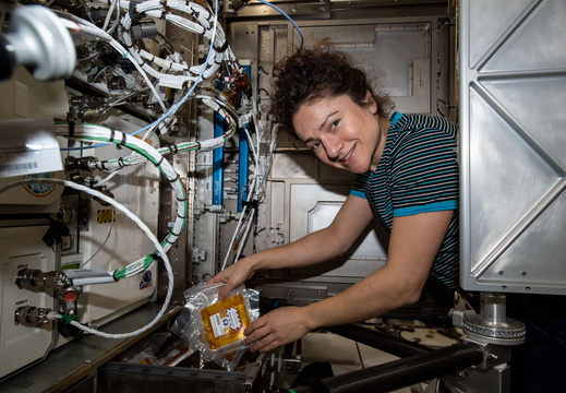 nasa-astronaut-jessica-meir-collects-protein-crystal-growth-10-experiment-hardware 49652944621 o