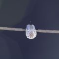 zarya-module---international-space-station_30845845066_o.jpg