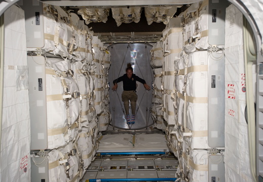 STS135-E-07415