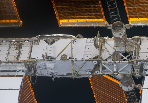 STS133-E-06435