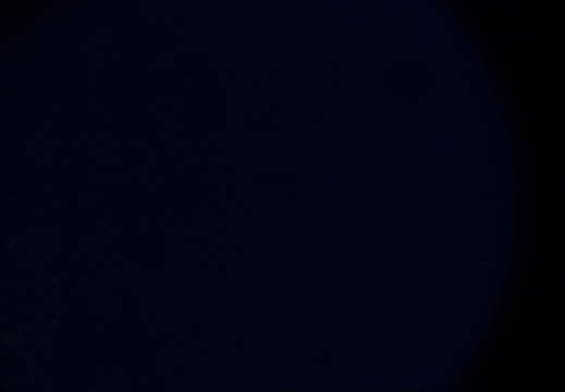 STS133-E-05023