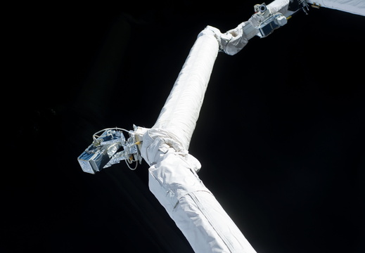 STS133-E-06259