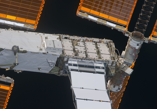 STS133-E-06438